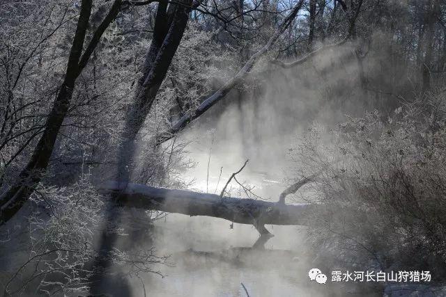 山西一女子举报退休局长“企业出钱退赃”后  因1805元被追逃