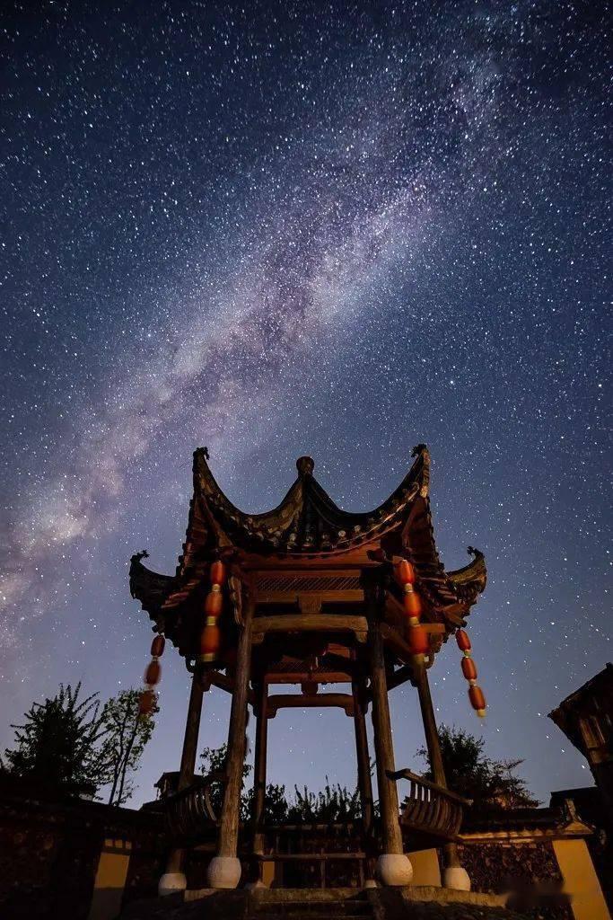 救援萌老虎